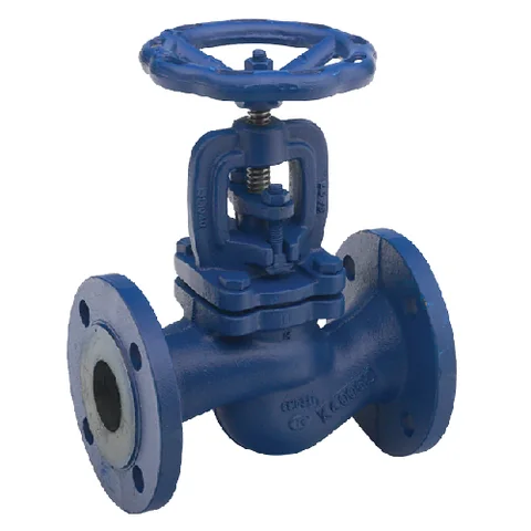 Cast iron globe valve
