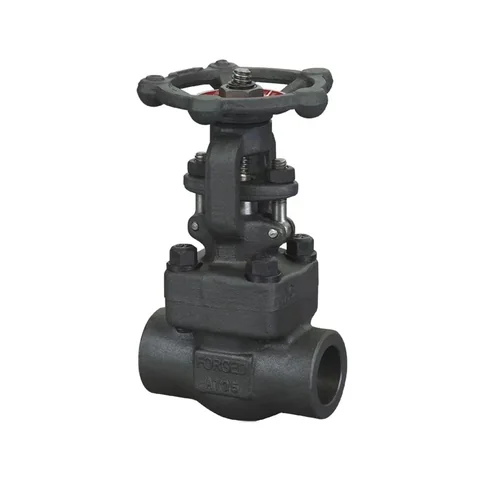 Iron gate valve socket weld