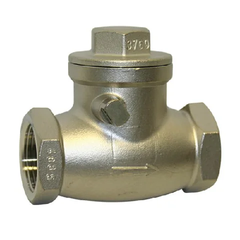 Stainless steel swing and spring check valves