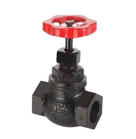 Iron female globe steam valve