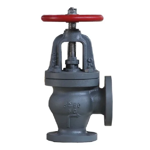 Iron angle check valve