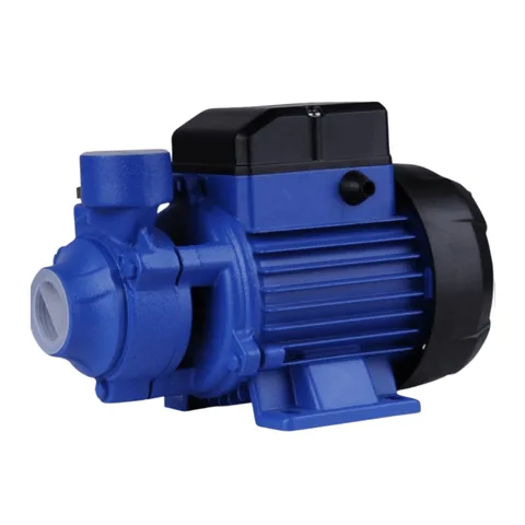 Small surface water pump